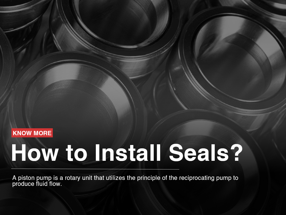 How to Install Seals? How to Install Seals?